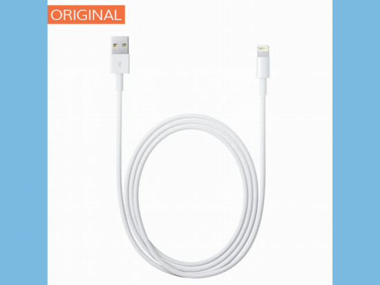 Apple Lightning to USB Cable | Apple Lightning Cable USB 2.0 Charging Cable for iPhone 5/5s/6/6s Plus/SE/iPad (Simple Package)
